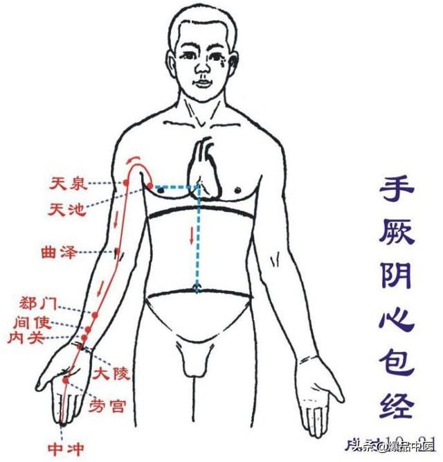 十二经络：原穴、络穴、输穴详解