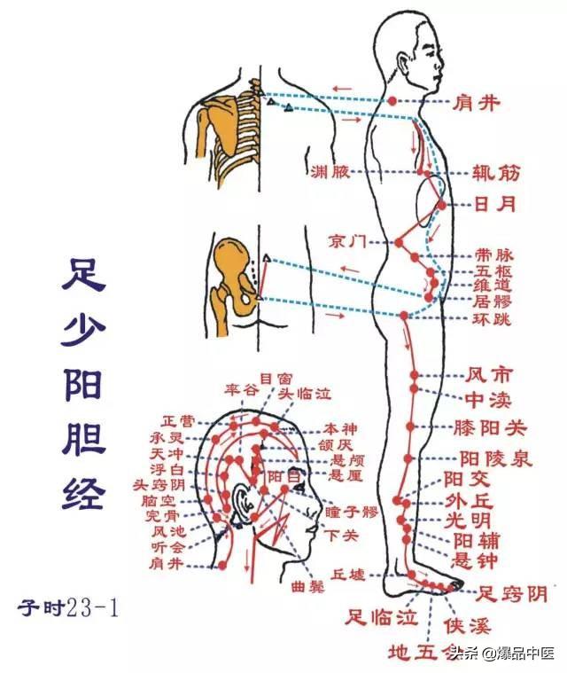 十二经络：原穴、络穴、输穴详解