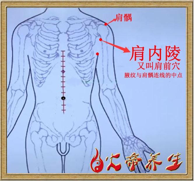 筋外奇穴——穴位图总汇