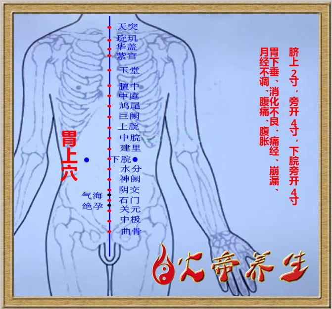 筋外奇穴——穴位图总汇