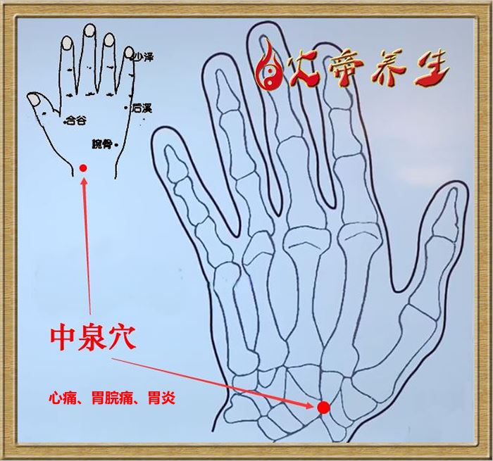 筋外奇穴——穴位图总汇