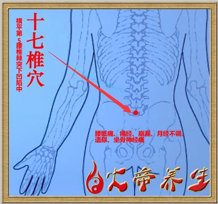 筋外奇穴——穴位图总汇