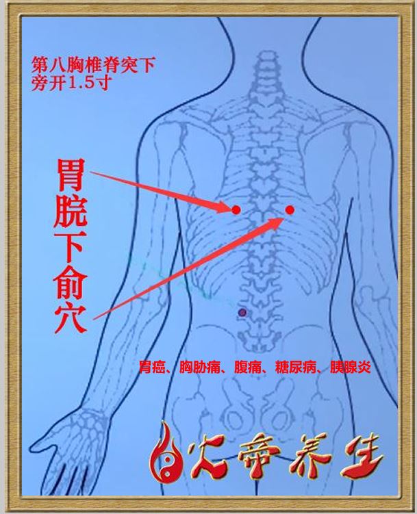 筋外奇穴——穴位图总汇