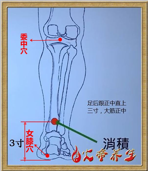 筋外奇穴——穴位图总汇