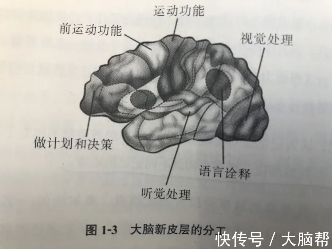 怎样才能记住新东西？简单好用的学习方法让你事半功倍