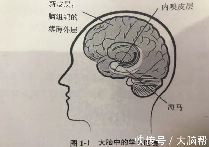 怎样才能记住新东西？简单好用的学习方法让你事半功倍