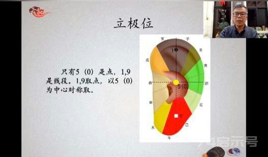 干支耳位.八卦耳疗基础