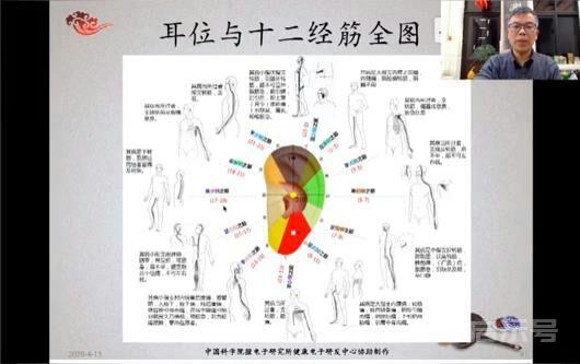 干支耳位.八卦耳疗基础