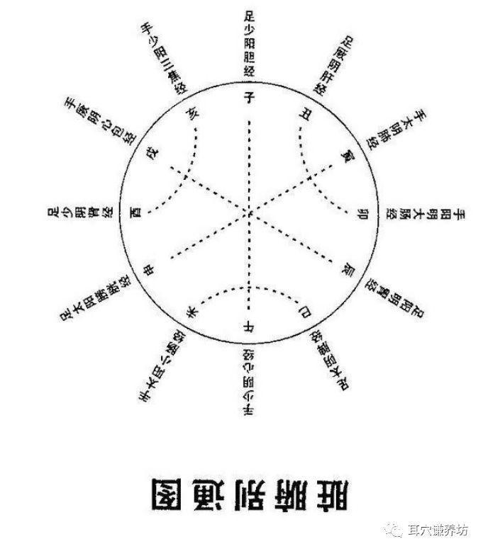 干支耳位.八卦耳疗基础