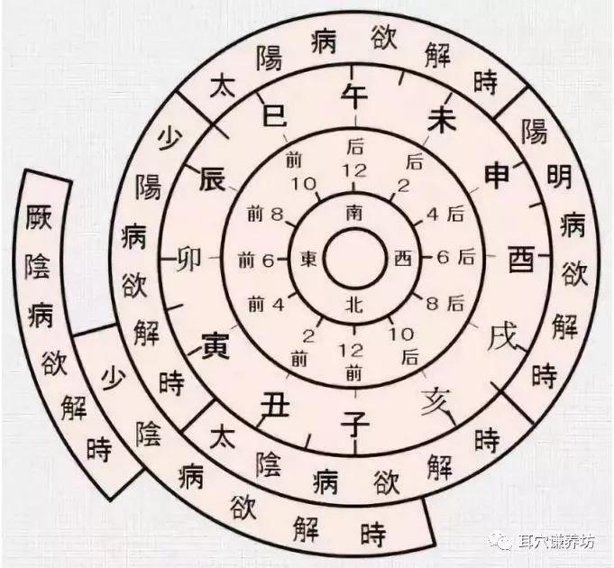 干支耳位.八卦耳疗基础