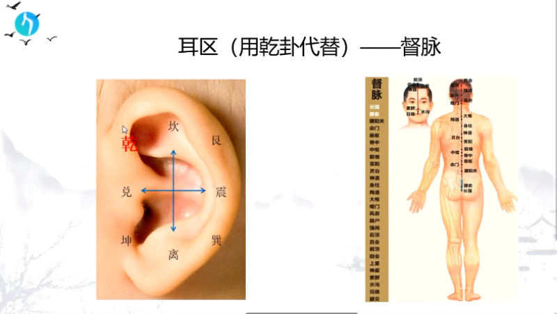 干支耳位.八卦耳疗基础