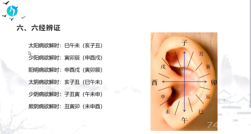 干支耳位.八卦耳疗基础