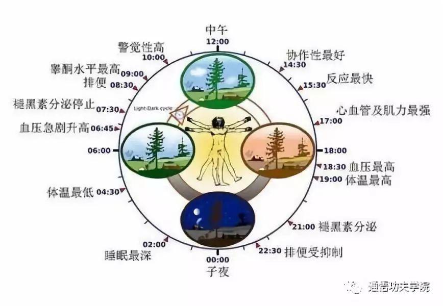 我按照“子午流注”规律修行，事半功倍！