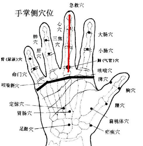 百病的对应穴位防治方法（从头到脚）——有病在这里找穴位自疗...