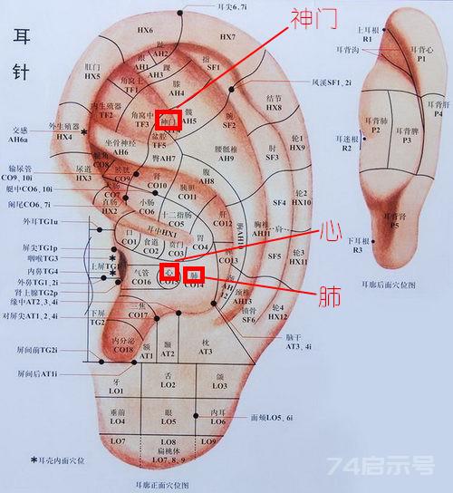 “镇静六穴”的临床应用