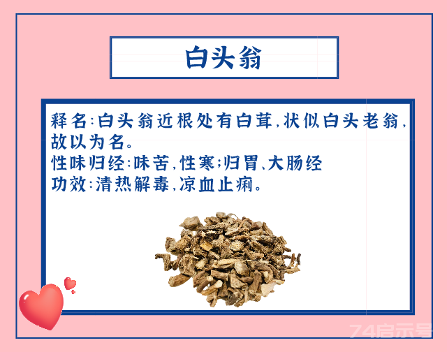 520，以中药之名表白！