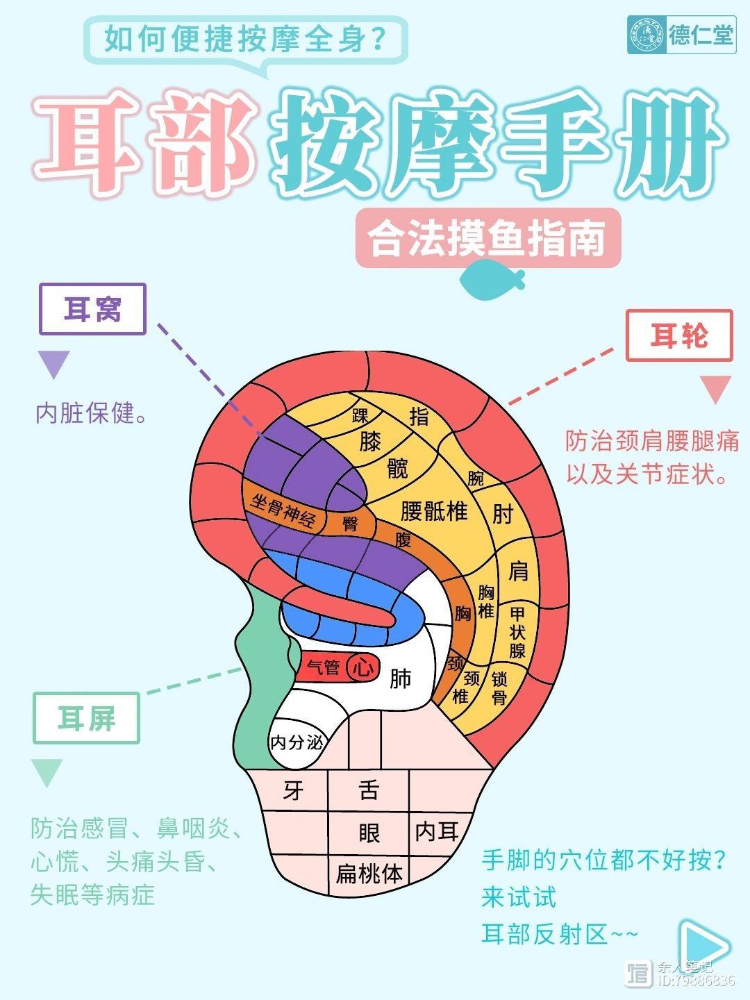 耳朵按摩部位大全，每天按一按，疏通脉络