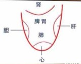 舌与脏腑经络之间的关系+舌诊诀句+舌头看病症大全+观舌识病（舌诊图解）+临症验舌法1,2+罗大伦 舌诊辨健康