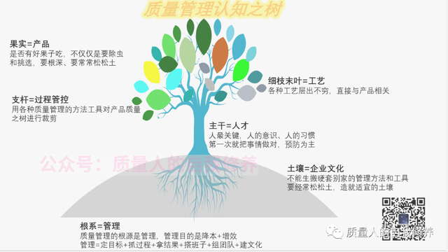 质量管理到底管什么？