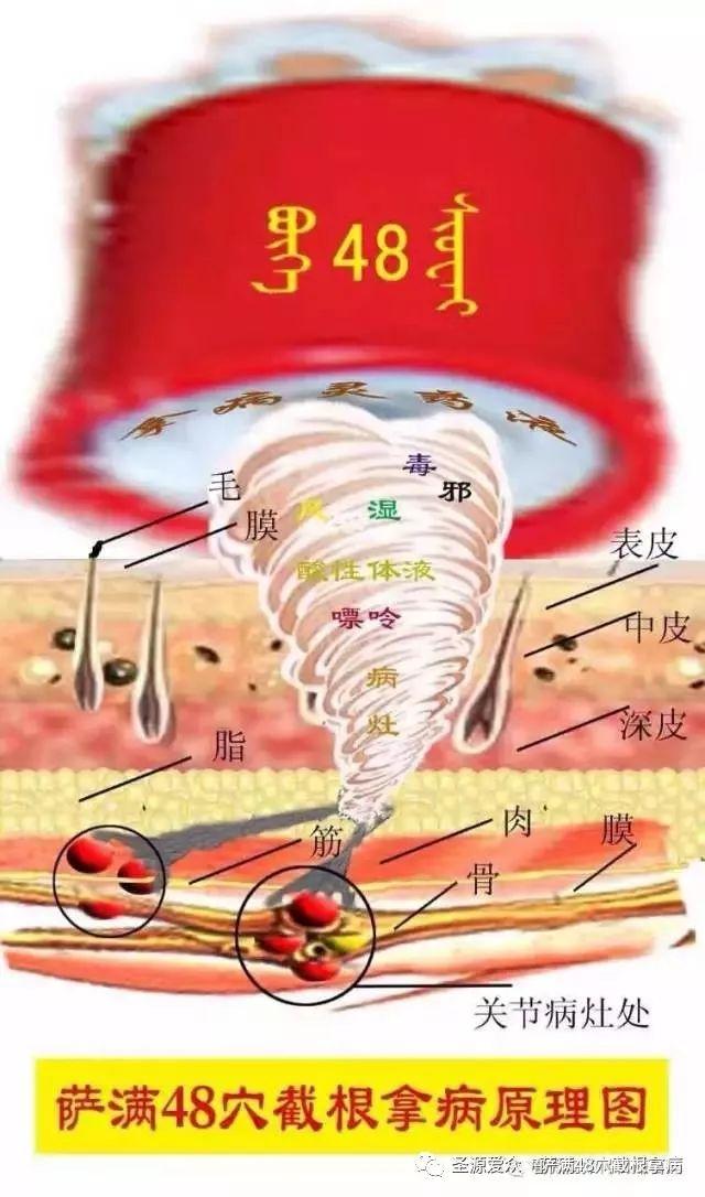 背部反射区图-经络图