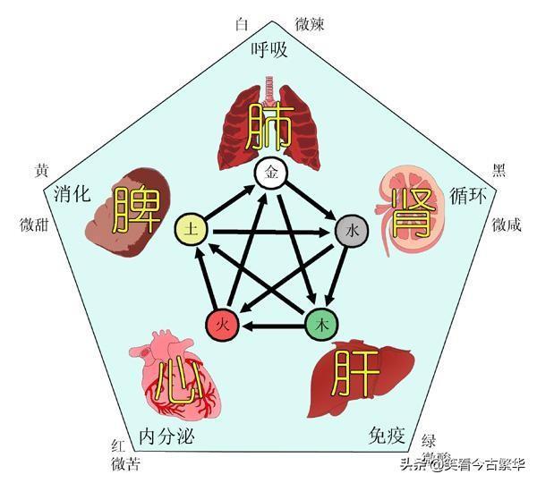 五行学说 (二）