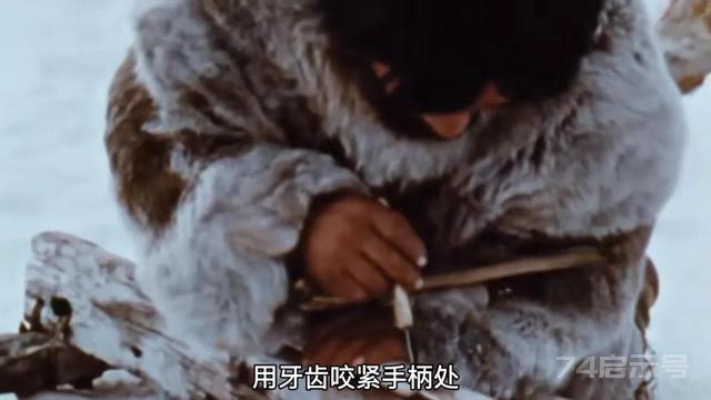 关于红山文化玉器的浅薄认知及鉴定心得分享（1）