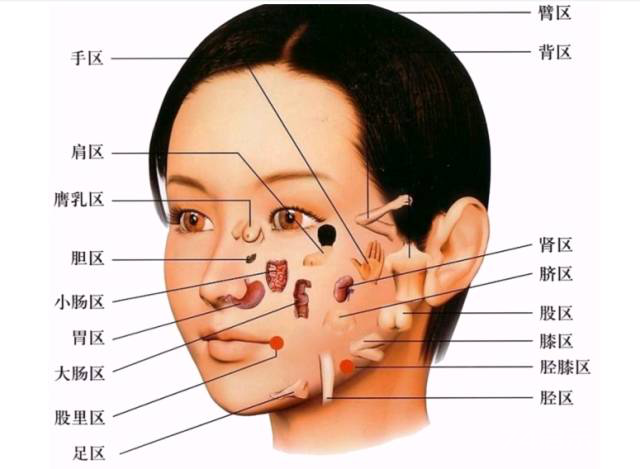 人体五大反射区，有图备查
