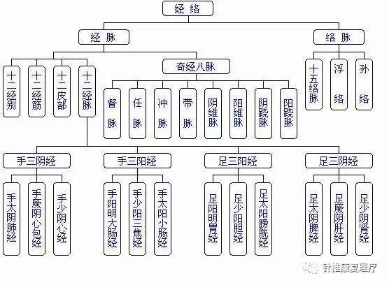 《扁鹊心书》：学医不知经络，开口动手便错