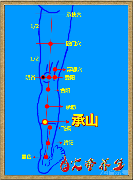 神经官能穴