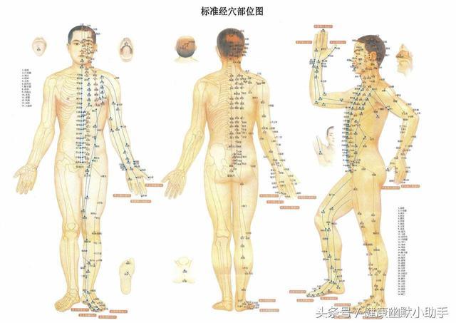 【经络养生】不知道这9个穴位，就别说你那叫养生，看看有没有你不认识的