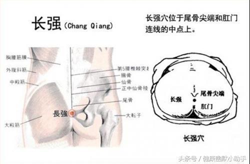 【经络养生】不知道这9个穴位，就别说你那叫养生，看看有没有你不认识的