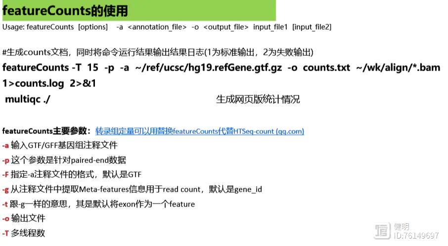 RNA-seq入门实战（二）：上游数据的比对计数——Hisat2+ featureCounts 与 Salmon