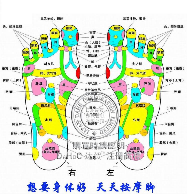 百病始于脚，人老脚先衰。养生先养脚，护足不畏老