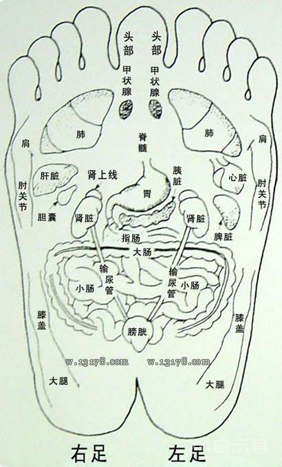 百病始于脚，人老脚先衰。养生先养脚，护足不畏老