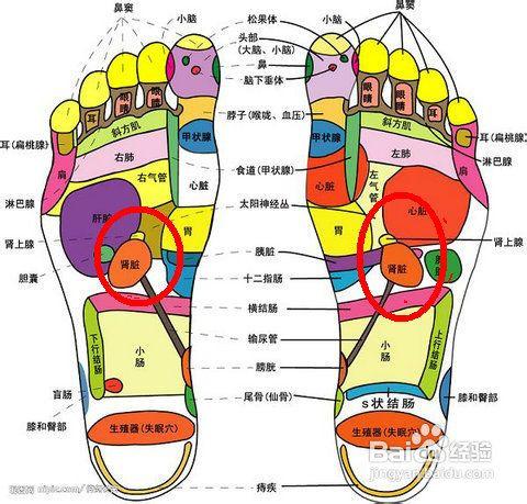 百病始于脚，人老脚先衰。养生先养脚，护足不畏老