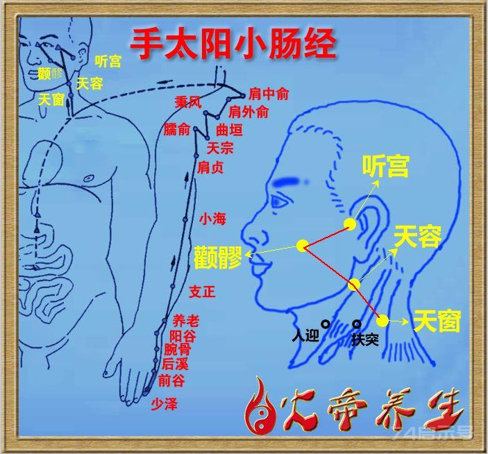 面抽穴