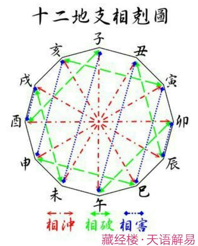 藏经楼天语解易：先天八字中地支五行的作用关系