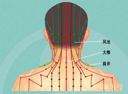 人体六“肩”穴【肩部穴位图文】