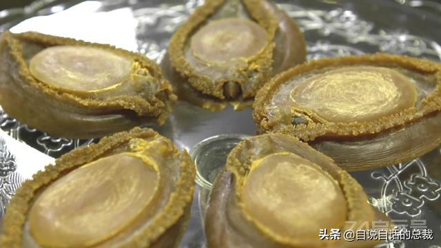 新西兰鲍鱼泛滥，为什么它依旧是奢侈食材？几头鲍的有什么秘密？