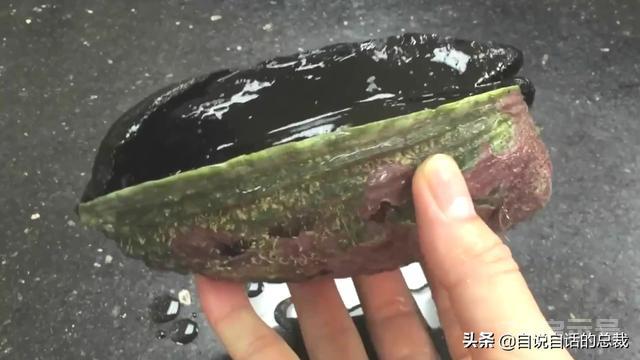 新西兰鲍鱼泛滥，为什么它依旧是奢侈食材？几头鲍的有什么秘密？