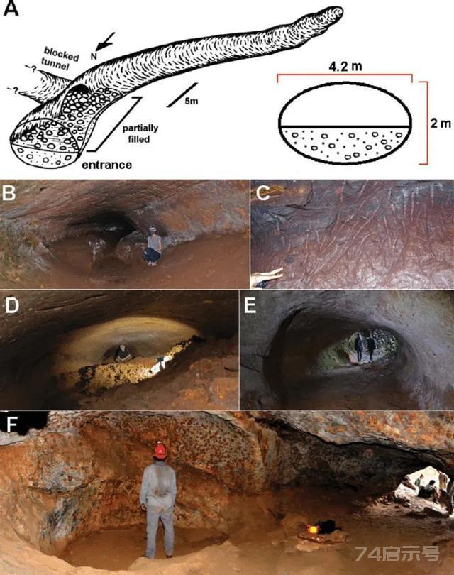 巴西发现1.3万年前“隧道”，科学家研究后确认：建造者不是人类