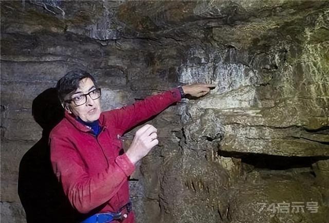 巴西发现1.3万年前“隧道”，科学家研究后确认：建造者不是人类