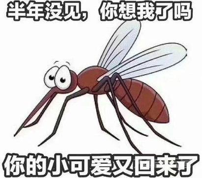 蚊子是公是母，看的就是这一点