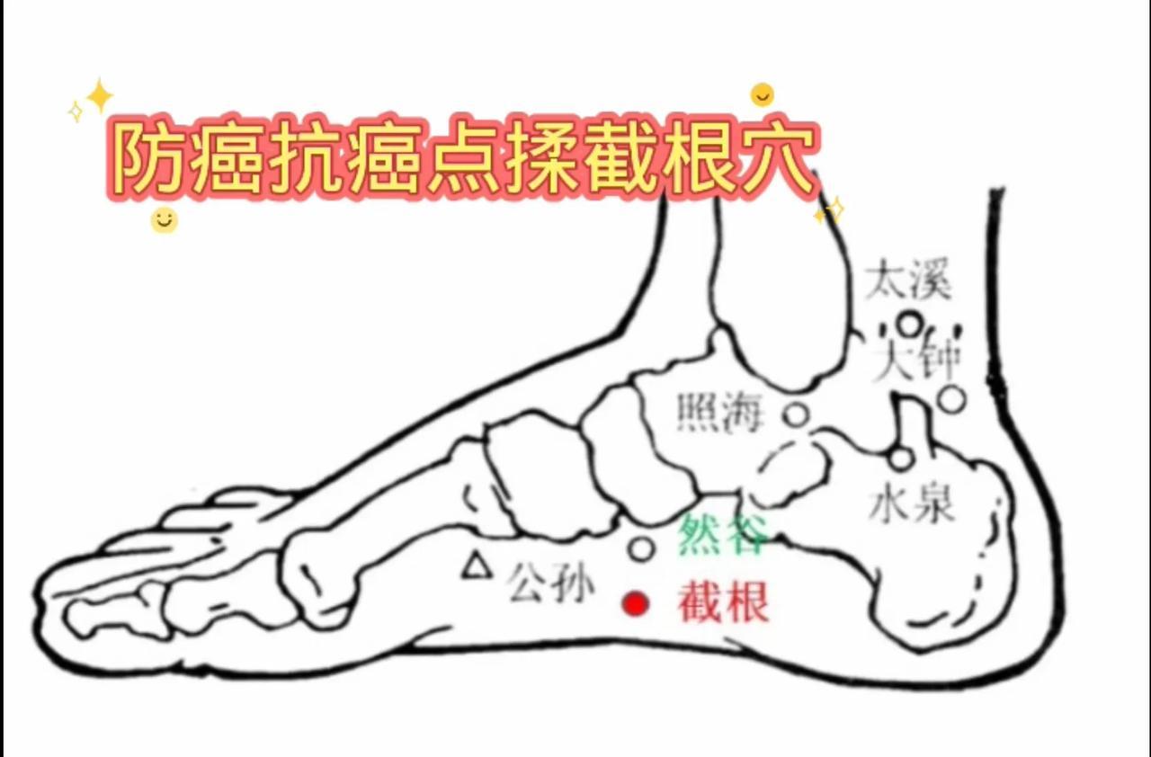 截根穴：经外奇穴，又名截癌穴。位于足内侧...