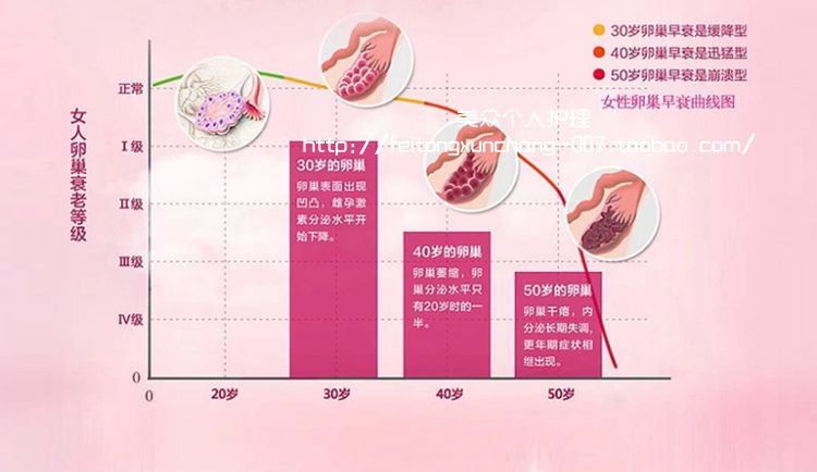 保护卵巢的食物_保养卵巢吃什么好食物最好_吃什么中药食物保养卵巢