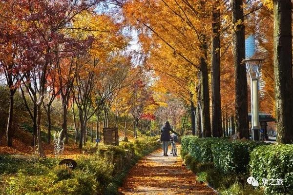 首尔飞济州岛旅游攻略_韩国首尔旅游攻略_韩国仁川和首尔旅游攻略