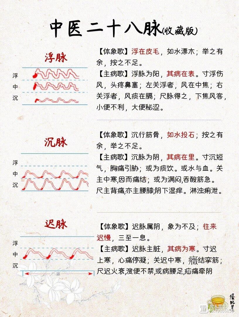 中医二十八脉，详细图解和介绍，养生干货