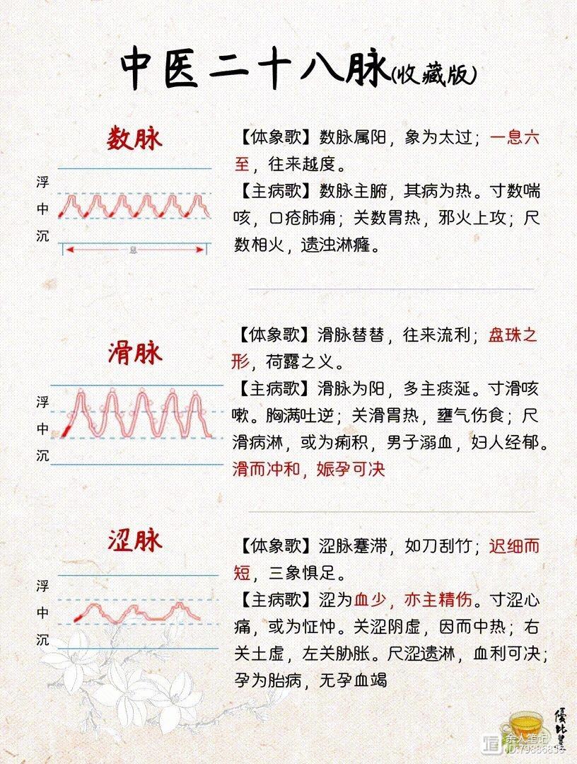 中医二十八脉，详细图解和介绍，养生干货