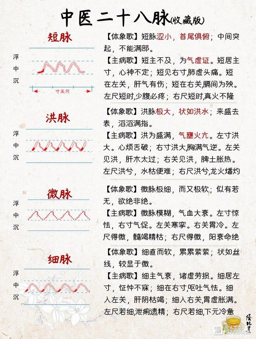 中医二十八脉，详细图解和介绍，养生干货