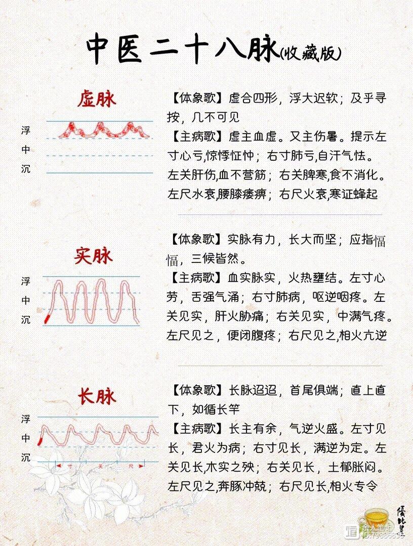 中医二十八脉，详细图解和介绍，养生干货